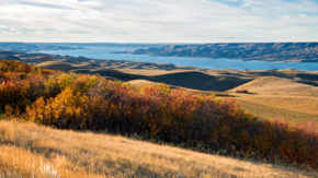 Kanada Saskatchewan Landing Provincial Park Lake Diefenbacher Foto iStock Nancy Anderson